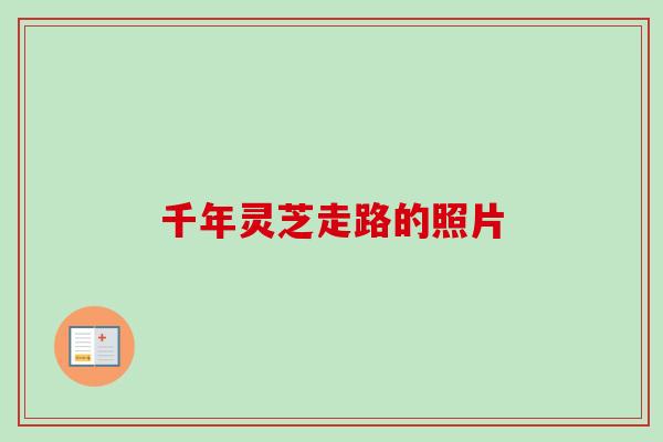 千年灵芝走路的照片 千年灵芝走路的照片