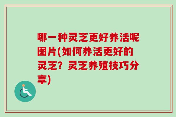 哪一种灵芝更好养活呢图片(如何养活更好的灵芝？灵芝养殖技巧分享)