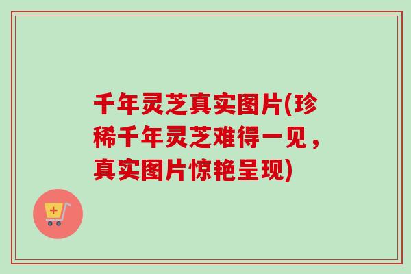 千年灵芝真实图片(珍稀千年灵芝难得一见,真实图片惊艳呈现) 千年灵芝真实图片(珍稀千年灵芝难得一见,真实图片惊艳呈现)