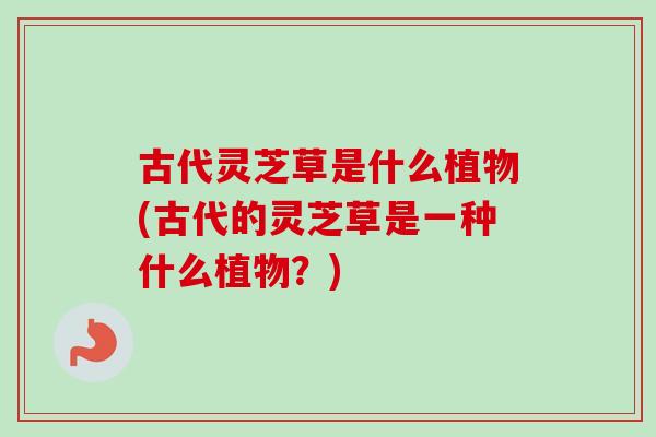 古代灵芝草是什么植物(古代的灵芝草是一种什么植物？)