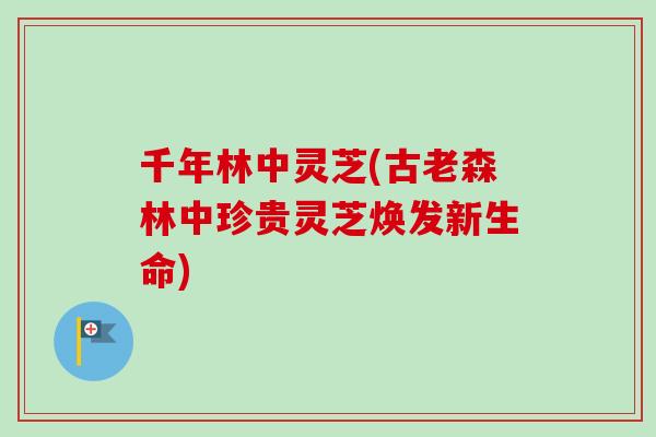 千年林中灵芝(古老森林中珍贵灵芝焕发新生命) 千年林中灵芝(古老森林中珍贵灵芝焕发新生命)