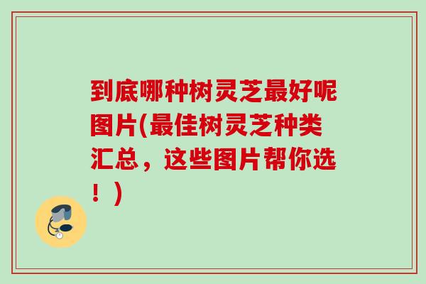 到底哪种树灵芝好呢图片(佳树灵芝种类汇总，这些图片帮你选！)