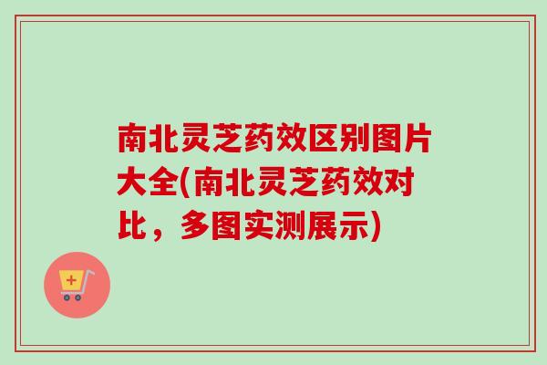 南北灵芝区别图片大全(南北灵芝对比，多图实测展示)
