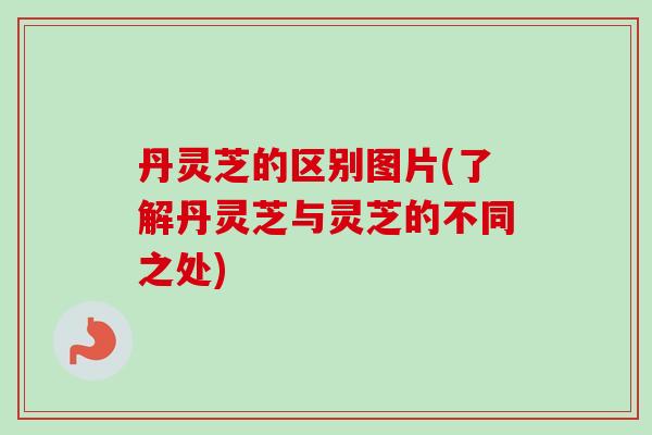 丹灵芝的区别图片(了解丹灵芝与灵芝的不同之处) 丹灵芝的区别图片(了解丹灵芝与灵芝的不同之处)