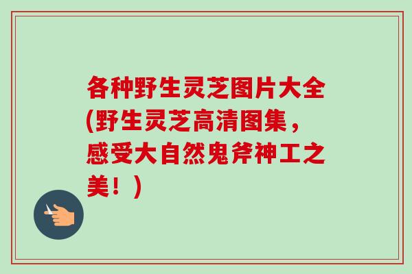 各种野生灵芝图片大全(野生灵芝高清图集，感受大自然鬼斧神工之美！)