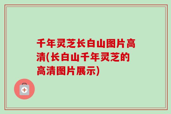 千年灵芝长白山图片高清(长白山千年灵芝的高清图片展示) 千年灵芝长白山图片高清(长白山千年灵芝的高清图片展示)