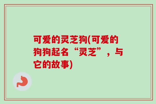 可爱的灵芝狗(可爱的狗狗起名“灵芝”，与它的故事)