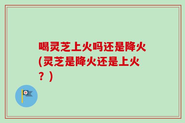 喝灵芝上火吗还是降火(灵芝是降火还是上火？)