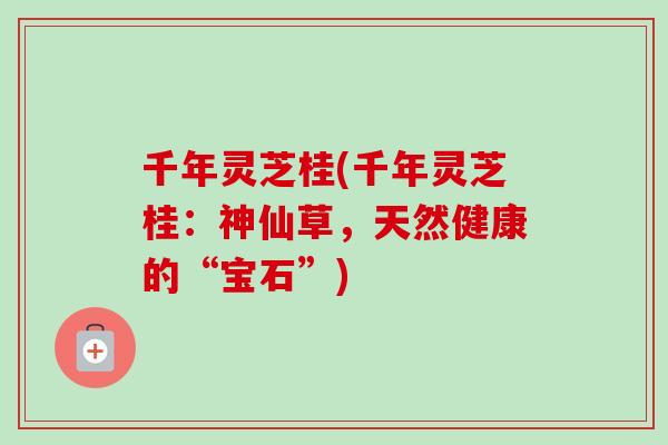 千年灵芝桂(千年灵芝桂:神仙草,天然健康的“宝石”) 千年灵芝桂(千年灵芝桂:神仙草,天然健康的“宝石”)