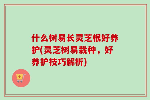 什么树易长灵芝根好养护(灵芝树易栽种，好养护技巧解析)