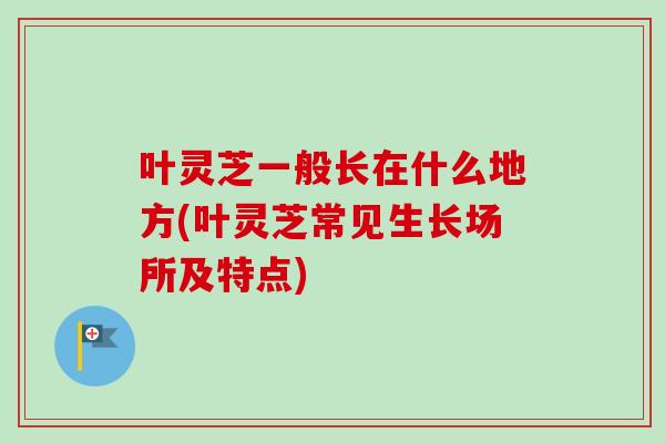 叶灵芝一般长在什么地方(叶灵芝常见生长场所及特点)