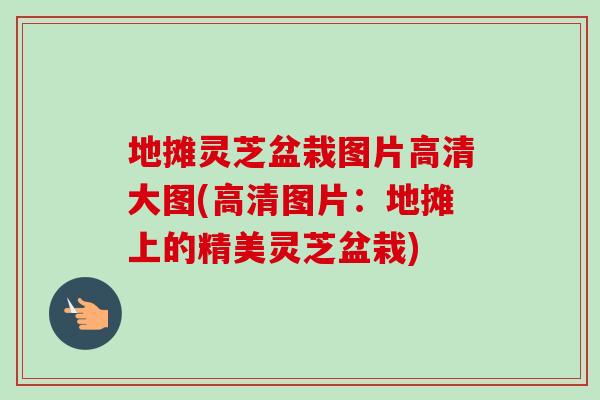 地摊灵芝盆栽图片高清大图(高清图片:地摊上的精美灵芝盆栽) 地摊灵芝盆栽图片高清大图(高清图片:地摊上的精美灵芝盆栽)