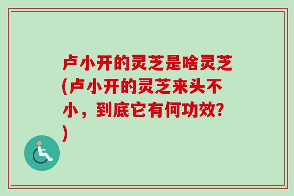 卢小开的灵芝是啥灵芝(卢小开的灵芝来头不小,到底它有何功效?) 卢小开的灵芝是啥灵芝(卢小开的灵芝来头不小,到底它有何功效?)