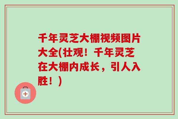 千年灵芝大棚视频图片大全(壮观！千年灵芝在大棚内成长，引人入胜！)