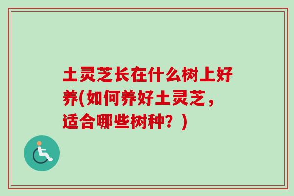 土灵芝长在什么树上好养(如何养好土灵芝,适合哪些树种?) 土灵芝长在什么树上好养(如何养好土灵芝,适合哪些树种?)