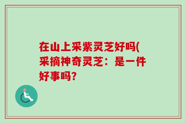 在山上采紫灵芝好吗(采摘神奇灵芝:是一件好事吗? 在山上采紫灵芝好吗(采摘神奇灵芝:是一件好事吗?