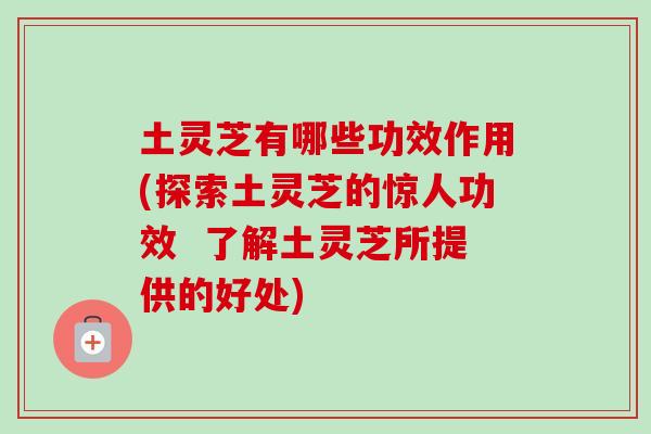 土灵芝有哪些功效作用(探索土灵芝的惊人功效  了解土灵芝所提供的好处)