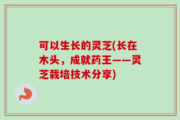 可以生长的灵芝(长在木头,成就药王——灵芝栽培技术分享) 可以生长的灵芝(长在木头,成就药王——灵芝栽培技术分享)