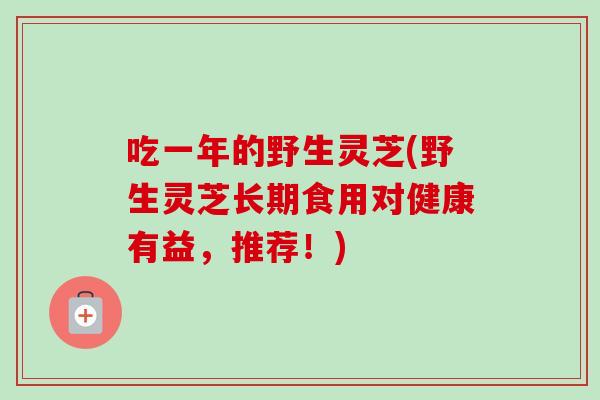 吃一年的野生灵芝(野生灵芝长期食用对健康有益，推荐！)