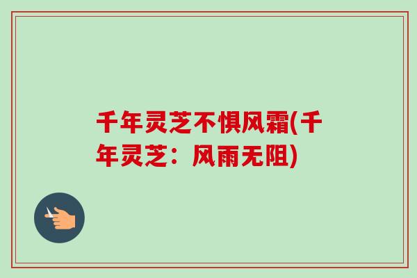 千年灵芝不惧风霜(千年灵芝:风雨无阻) 千年灵芝不惧风霜(千年灵芝:风雨无阻)