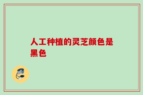 人工种植的灵芝颜色是黑色 人工种植的灵芝颜色是黑色