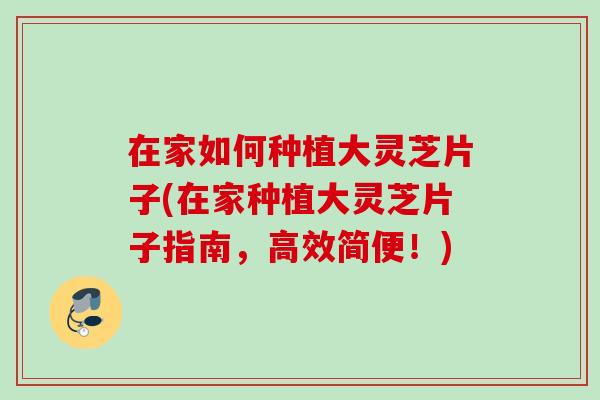 在家如何种植大灵芝片子(在家种植大灵芝片子指南,高效简便!) 在家如何种植大灵芝片子(在家种植大灵芝片子指南,高效简便!)
