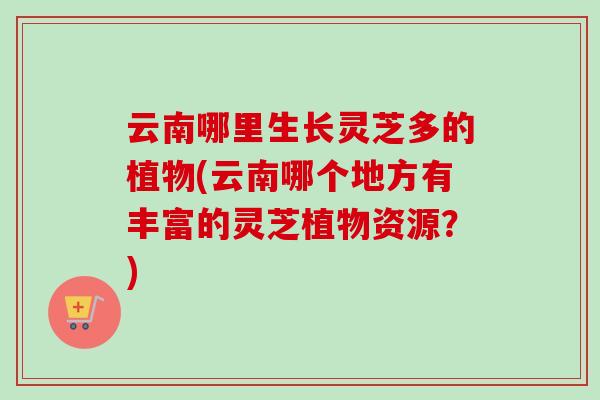 云南哪里生长灵芝多的植物(云南哪个地方有丰富的灵芝植物资源?) 云南哪里生长灵芝多的植物(云南哪个地方有丰富的灵芝植物资源?)