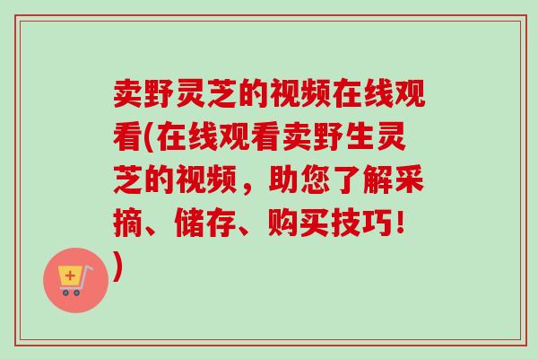 卖野灵芝的视频在线观看(在线观看卖野生灵芝的视频,助您了解采摘、储存、购买技巧!) 卖野灵芝的视频在线观看(在线观看卖野生灵芝的视频,助您了解采摘、储存、购买技巧!)