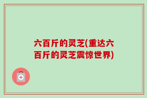 六百斤的灵芝(重达六百斤的灵芝震惊世界) 六百斤的灵芝(重达六百斤的灵芝震惊世界)