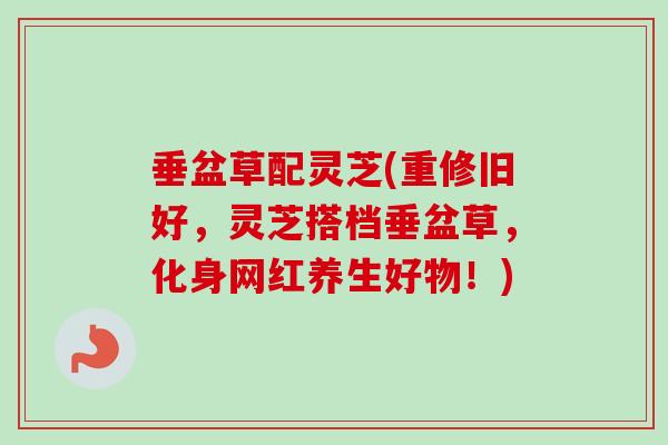垂盆草配灵芝(重修旧好,灵芝搭档垂盆草,化身网红养生好物!) 垂盆草配灵芝(重修旧好,灵芝搭档垂盆草,化身网红养生好物!)