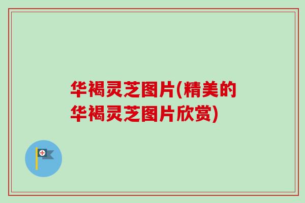 华褐灵芝图片(精美的华褐灵芝图片欣赏) 华褐灵芝图片(精美的华褐灵芝图片欣赏)