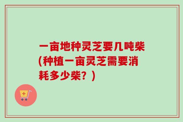 一亩地种灵芝要几吨柴(种植一亩灵芝需要消耗多少柴?) 一亩地种灵芝要几吨柴(种植一亩灵芝需要消耗多少柴?)
