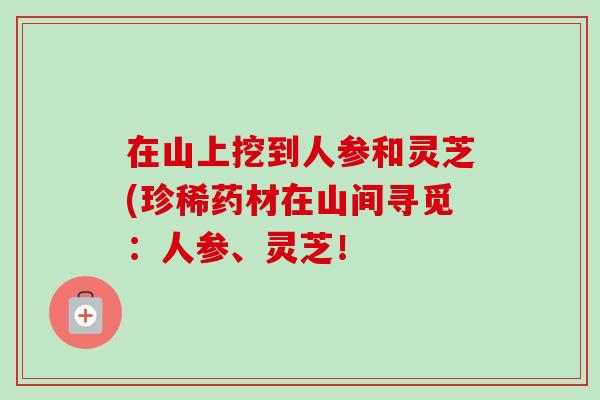 在山上挖到人参和灵芝(珍稀药材在山间寻觅:人参、灵芝! 在山上挖到人参和灵芝(珍稀药材在山间寻觅:人参、灵芝!