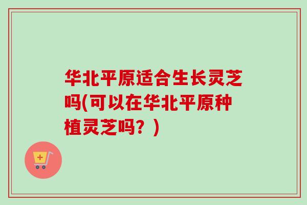 华北平原适合生长灵芝吗(可以在华北平原种植灵芝吗?) 华北平原适合生长灵芝吗(可以在华北平原种植灵芝吗?)
