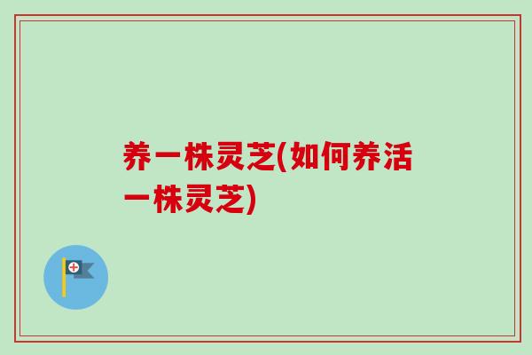 养一株灵芝(如何养活一株灵芝) 养一株灵芝(如何养活一株灵芝)