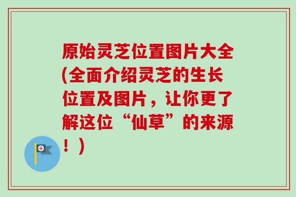 原始灵芝位置图片大全(全面介绍灵芝的生长位置及图片,让你更了解这位“仙草”的来源!) 原始灵芝位置图片大全(全面介绍灵芝的生长位置及图片,让你更了解这位“仙草”的来源!)