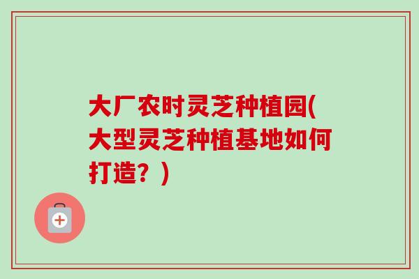 大厂农时灵芝种植园(大型灵芝种植基地如何打造?) 大厂农时灵芝种植园(大型灵芝种植基地如何打造?)