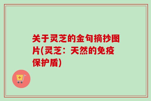 关于灵芝的金句摘抄图片(灵芝：天然的免疫保护盾)
