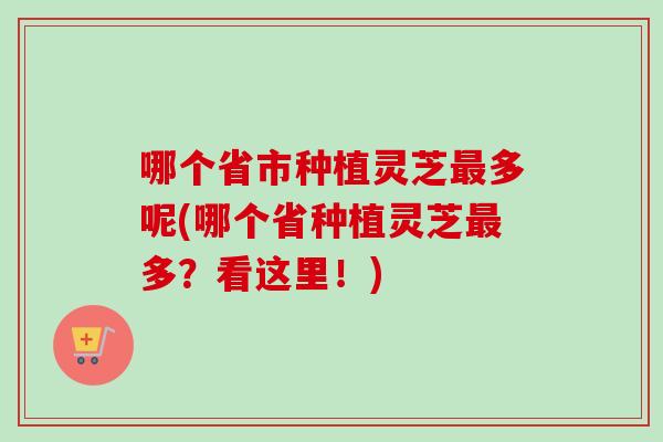 哪个省市种植灵芝最多呢(哪个省种植灵芝最多？看这里！)