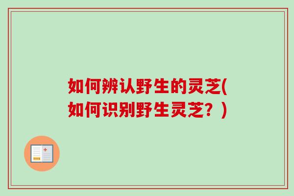 如何辨认野生的灵芝(如何识别野生灵芝？)
