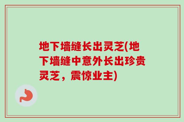 地下墙缝长出灵芝(地下墙缝中意外长出珍贵灵芝，震惊业主)