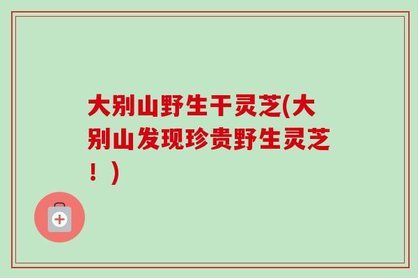 大别山野生干灵芝(大别山发现珍贵野生灵芝！)