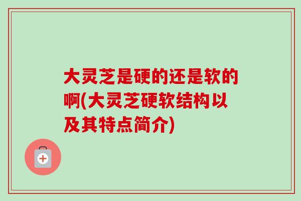 大灵芝是硬的还是软的啊(大灵芝硬软结构以及其特点简介)