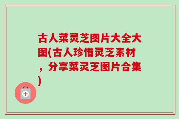 古人菜灵芝图片大全大图(古人珍惜灵芝素材，分享菜灵芝图片合集)