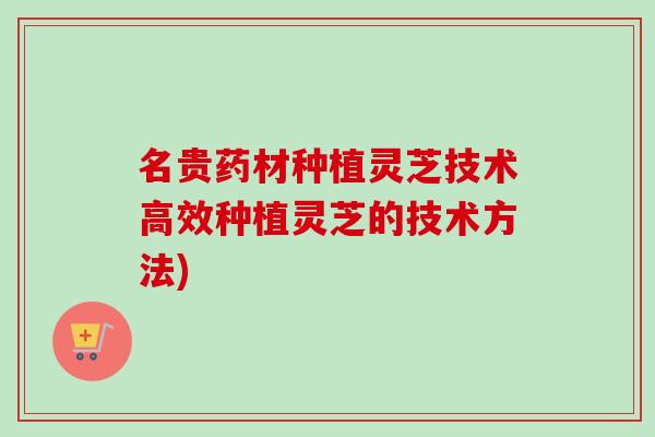 名贵药材种植灵芝技术高效种植灵芝的技术方法)