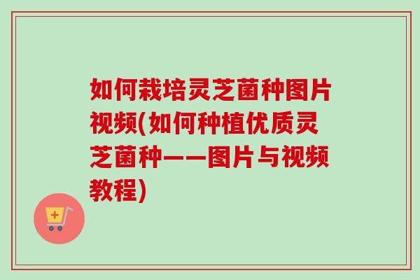 如何栽培灵芝菌种图片视频(如何种植优质灵芝菌种——图片与视频教程)