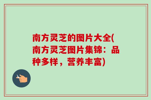 南方灵芝的图片大全(南方灵芝图片集锦：品种多样，营养丰富)