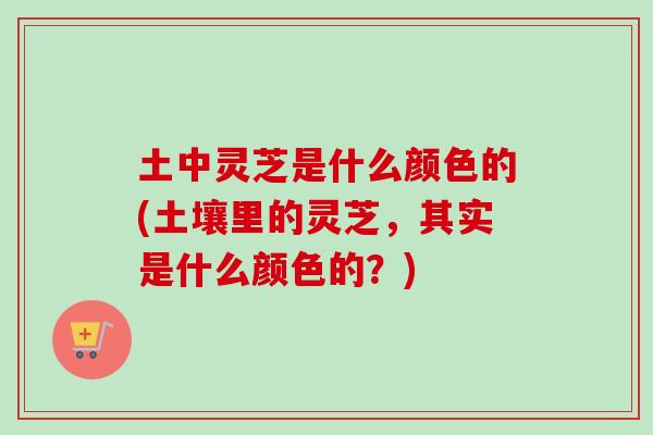 土中灵芝是什么颜色的(土壤里的灵芝，其实是什么颜色的？)