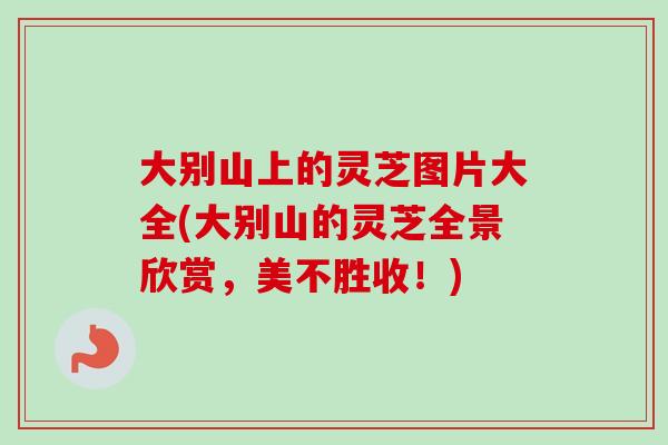 大别山上的灵芝图片大全(大别山的灵芝全景欣赏，美不胜收！)