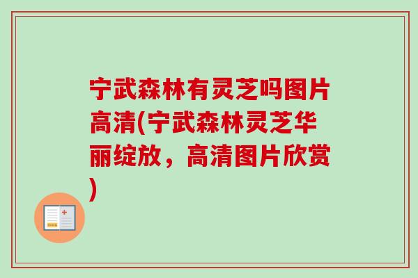 宁武森林有灵芝吗图片高清(宁武森林灵芝华丽绽放，高清图片欣赏)